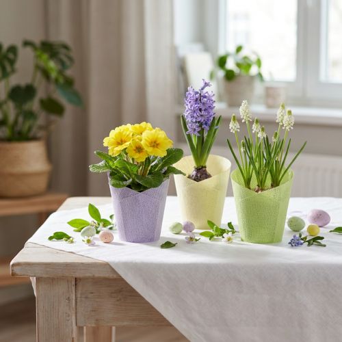 Tkany papier doniczkowy do doniczek zielony, żółty, fioletowy Ø7cm W13cm 12szt | Floristik24.pl