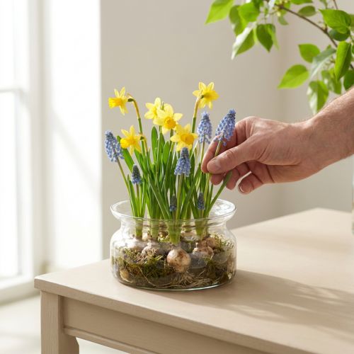 Miska szklana dekoracyjna miska szklana pływająca miska Ø16cm H8cm | Floristik24.pl
