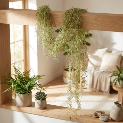Tillandsia dekoracyjna zawieszka Tillandsia sztuczna zieleń biała 180cm | Floristik24.pl