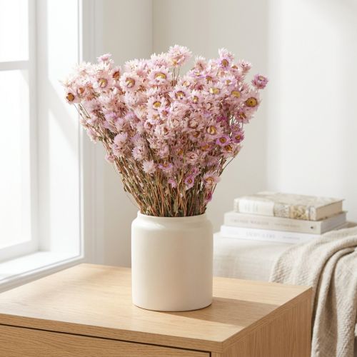 Produkt Suszone Kwiaty Bukiet Dekoracja Sucha Rumianek Różowy 65cm 50g