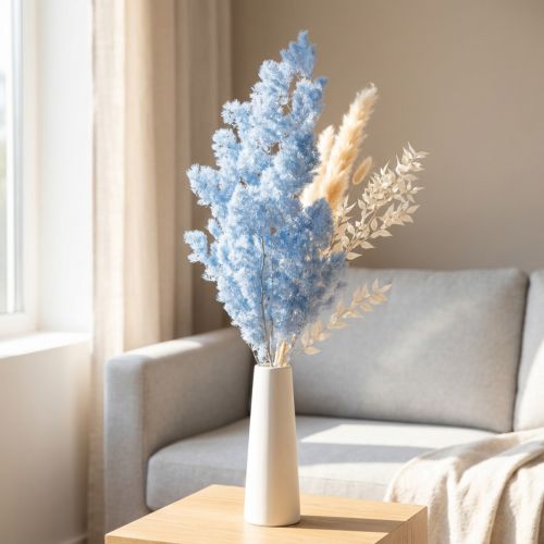 Szparagi ozdobne, jasnoniebieskie, suszone kwiaty, 55-70 cm | Floristik24.pl