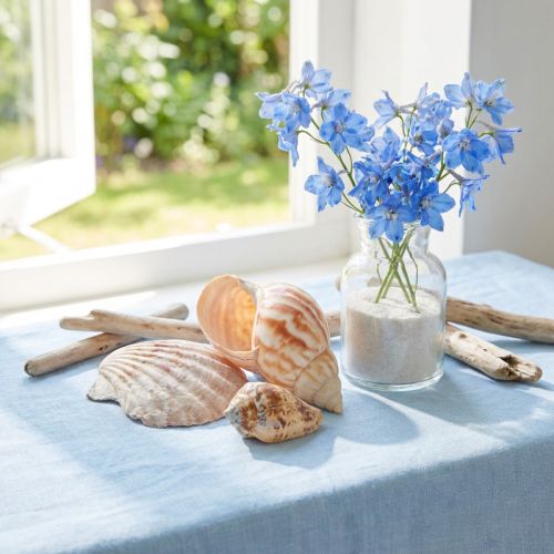 Muszla dekoracyjna ślimak morski naturalny 350g × 3szt | Floristik24.pl