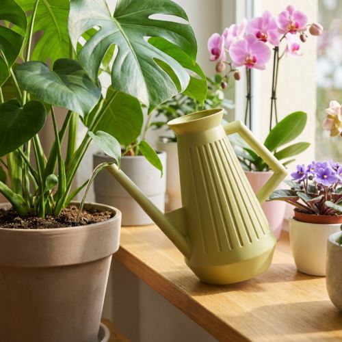 Konewka do użytku wewnętrznego, oliwkowozielona, styl retro, 24,5 cm, 1,8 l, designerska konewka, plastikowa, do podlewania roślin | Floristik24.pl