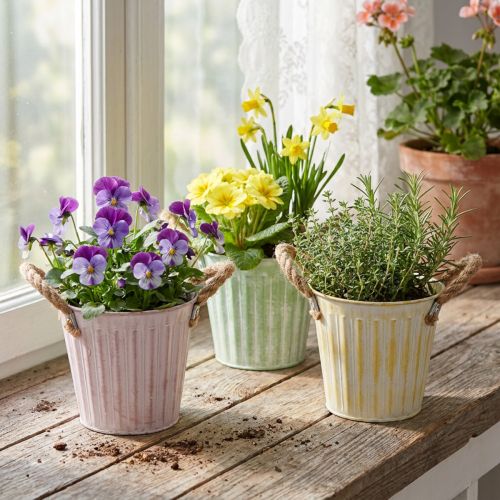 Doniczka dekoracyjna, metalowe wiaderko do sadzenia, doniczka z uchwytami, różowo-zielono-żółta, shabby chic, Ø15cm, wys.13cm, zestaw 3 elementów | Floristik24.pl