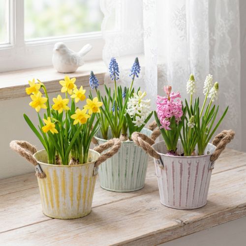 Doniczka do sadzenia, metalowa z uchwytami, dekoracyjna doniczka, różowo-zielono-żółta, w stylu shabby chic, Ø12 cm, wys. 10 cm, zestaw 3 szt. | Floristik24.pl