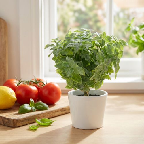 Mięta sztuczna zieleń 25cm 12 szt | Floristik24.pl