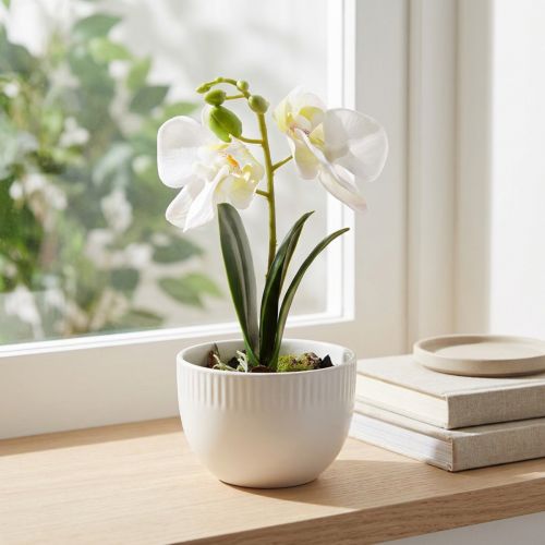 Mini storczyki sztuczne białe storczyki w doniczce 15cm | Floristik24.pl
