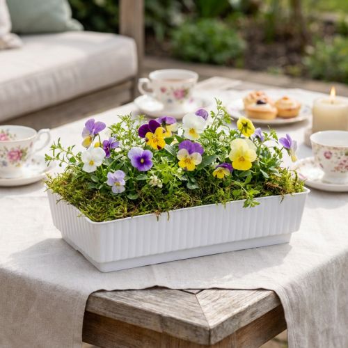 Miska gniazdowa Lara 15cm x 8cm x 4cm 10szt | Floristik24.pl