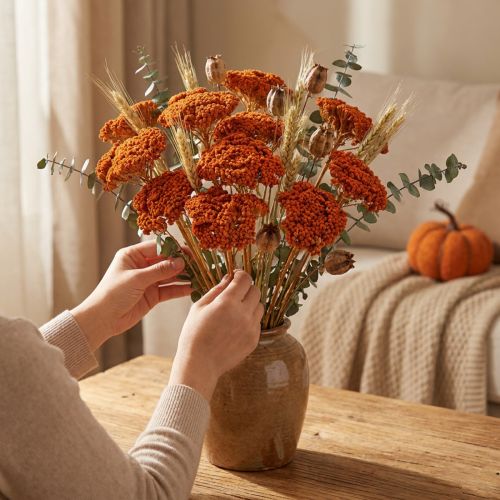 Achillea Orange suszone kwiaty, krwawnik pospolity, 45-60 cm, 1 kg | Floristik24.pl