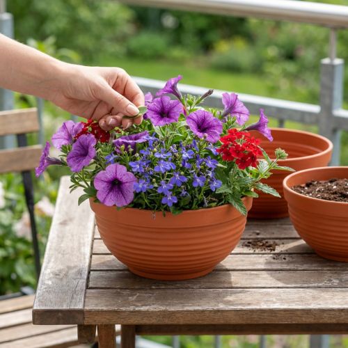 Produkt Miska plastikowa R terakota Ø19cm, 10 sztuk