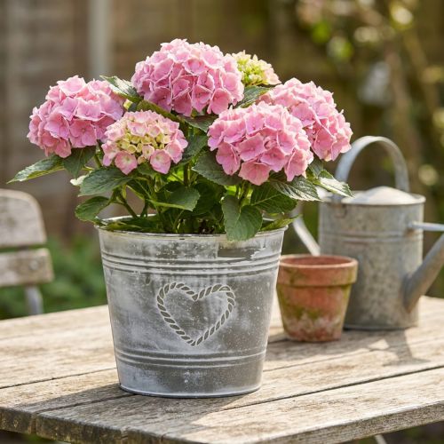 Doniczka metalowa w stylu Shabby Chic z wzorem w kształcie serca, Ø22 cm, wys. 17,5 cm | Floristik24.pl