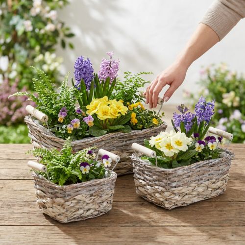 Kosz na rośliny z uchwytami, kwadratowa misa koszowa, naturalna donica do sadzenia shabby chic myte białe dł.30/25.5/21 cm wys.12/11/10 cm zestaw 3 szt. | Floristik24.pl