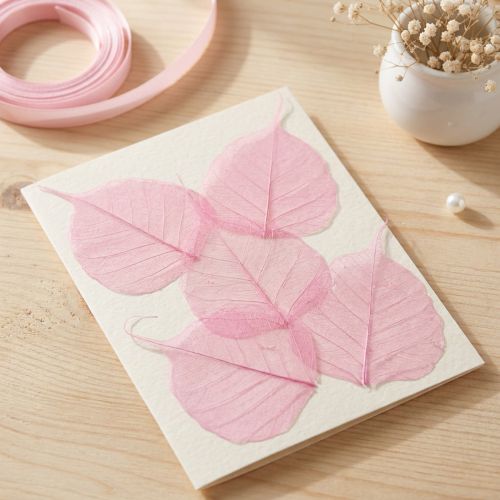 Liście szkieletowe, różowe ozdobne liście wierzby 5-9 cm, 200 sztuk - idealne do kartek okolicznościowych i DIY | Floristik24.pl