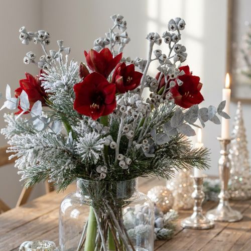 Gałązka eukaliptusa bielona 25 szt. | Floristik24.pl
