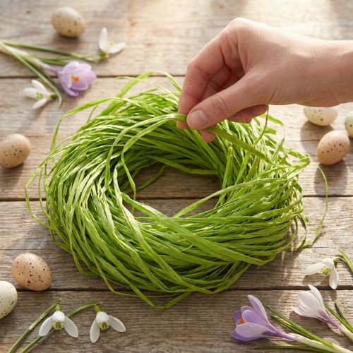 Rafia dekoracyjna do wyrobu rafii naturalnej rafia jabłkowo-zielona 200g | Floristik24.pl