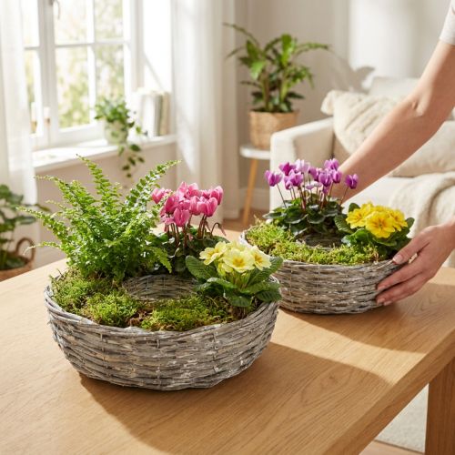 Doniczka z białej wierzby, zestaw 2 szt., Ø25/30 cm, dekoracyjna do roślin doniczkowych | Floristik24.pl