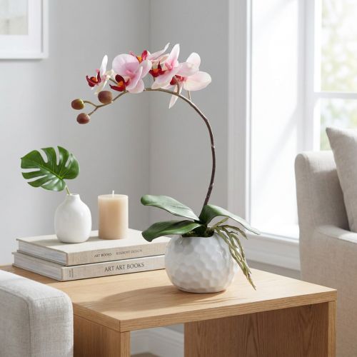 Różowa orchidea w doniczce ceramicznej 31cm | Floristik24.pl