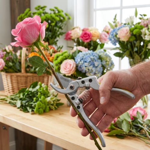 Produkt Sekatory Oasis 20cm