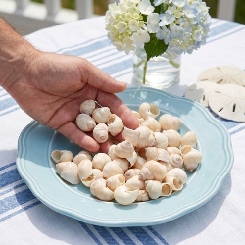 Małża Umachi 500g | Floristik24.pl