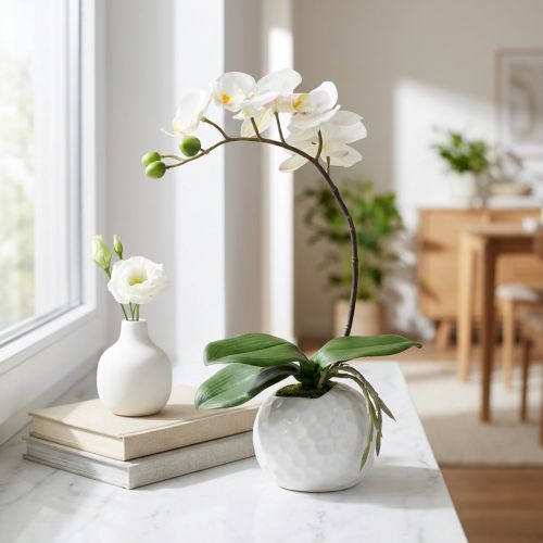 Krem Phalaenopsis w doniczce ceramicznej 33cm | Floristik24.pl