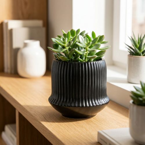 Doniczka ceramiczna doniczka z rowkami czarna Ø10cm W8,5cm | Floristik24.pl