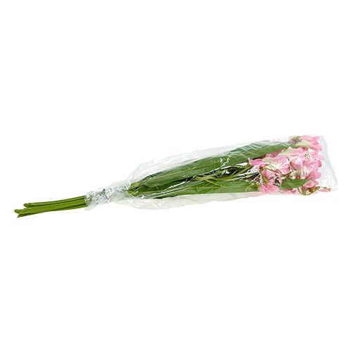 Floristik24 Frezja 56cm Różowa 4szt