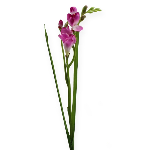 Floristik24 Kwiat sztuczny Frezja 56cm 3szt.