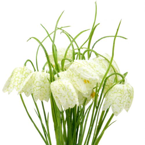 Floristik24 Kwiaty szachownicowe Fritillaria sztuczne białe, zielone 40cm 12 szt