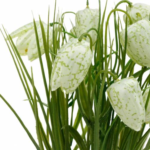 Floristik24 Fritillaria w doniczce, kwiat szachownicy zielono-biały, kwiat sztuczny