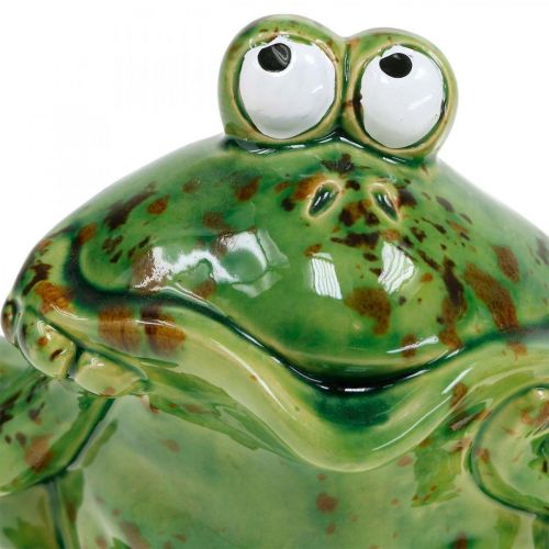 Floristik24 Para żab, dekoracja ceramiczna, żaba ozdobna, żaby siedzące