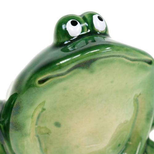 Floristik24 Deco Żaba kamień odlewany zielony 9cm H5,8cm