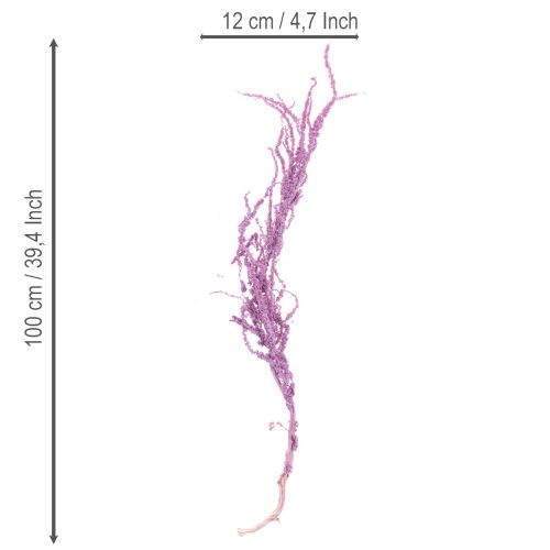 Produkt Suszone kwiaty liszy, barwione, do nowoczesnej dekoracji wnętrz, 100 cm, 5 szt.