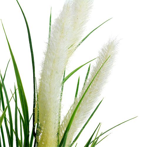 Floristik24 Trawa liściasta zielona, biała 63cm