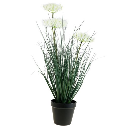 Floristik24 Tętowata Trawa Sztuczny Kwiat Sztuczne kwiaty w doniczce 56cm