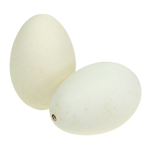 Floristik24 Jaja gęsie białe 7cm - 8cm 6szt.