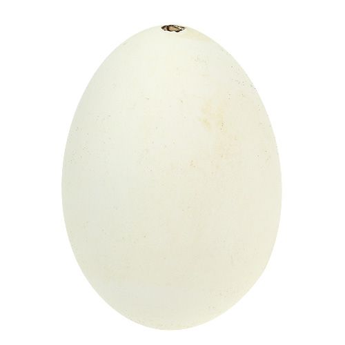 Floristik24 Jaja gęsie białe 7cm - 8cm 6szt.