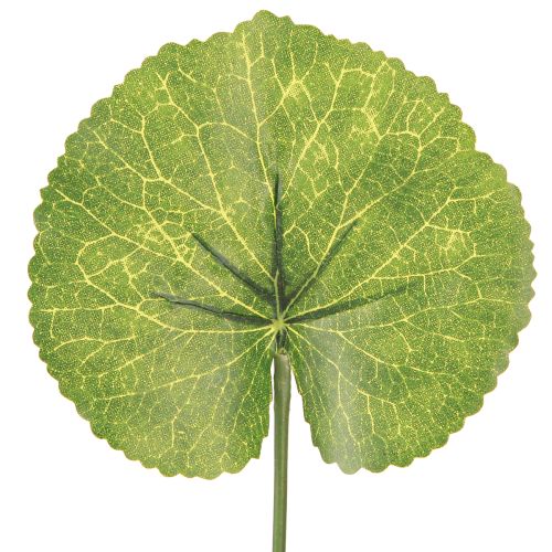 Produkt Galax Urceolata Liście Sztuczne Zielone Ø10cm L23cm 12 szt