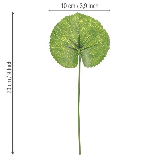 Produkt Galax Urceolata Liście Sztuczne Zielone Ø10cm L23cm 12 szt