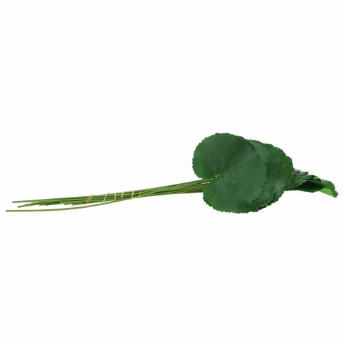 Floristik24 Liść brązu Galax sztuczny zielony Ø9cm H30cm 12szt.