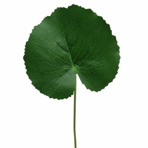 Floristik24 Liść brązu Galax sztuczny zielony Ø9cm H30cm 12szt.