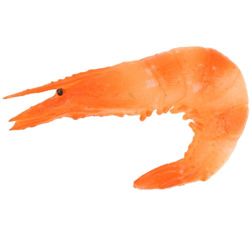 Floristik24 Krewetki sztuczne 9cm 6szt