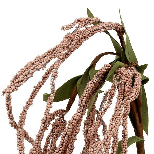 Floristik24 Wyczyniec ogrodowy 95cm