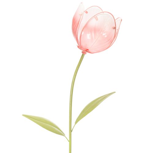 Palik ogrodowy, ozdobny tulipan, do rabat i kwietników, 94 cm