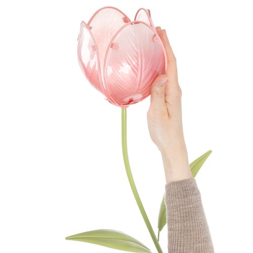 Palik ogrodowy, ozdobny tulipan, do rabat i kwietników, 94 cm | Floristik24.pl