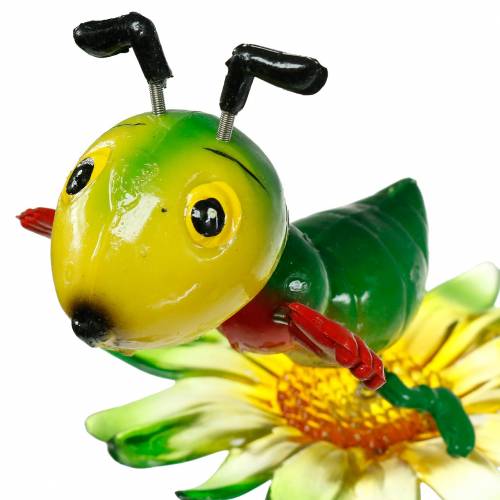 Floristik24 Świerszcz ogrodowy na kwiatku Kolorowy 11cm