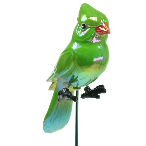 Floristik24 Korek ogrodowy papuzi zielony 16cm