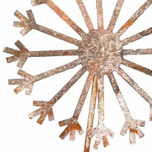 Floristik24 Korek ogrodowy mniszek lekarski stal nierdzewna Ø18 H88cm