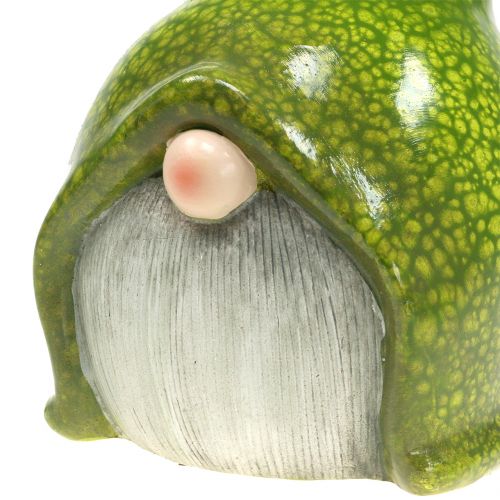 Floristik24 Skrzat ogrodowy Imp Green 20cm