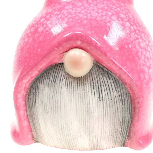 Floristik24 Skrzat ogrodowy Imp Pink 20cm