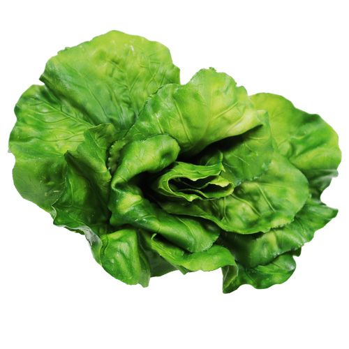 Floristik24 Asortyment warzywny w sieci